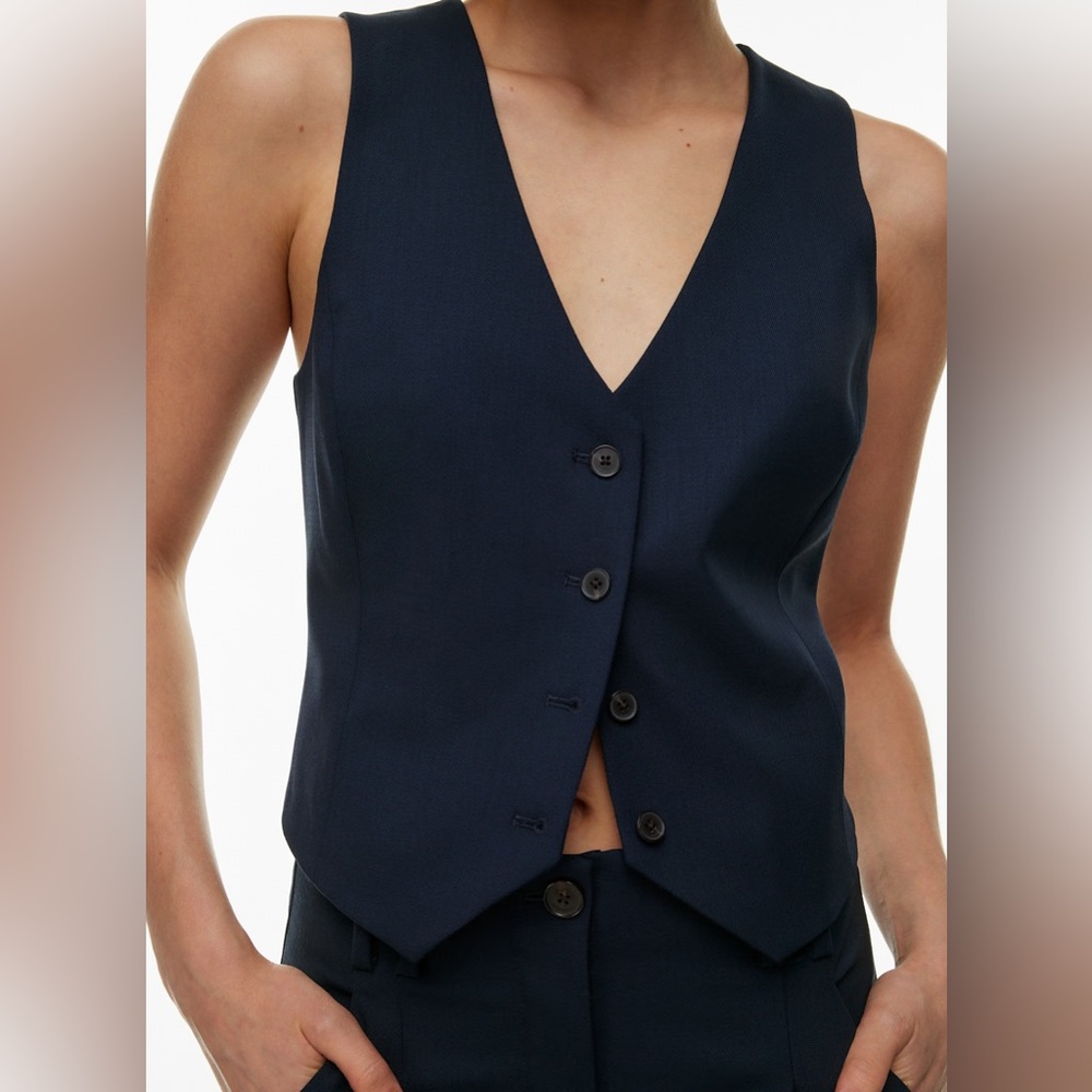 Aritzia Babaton Deniro Vest